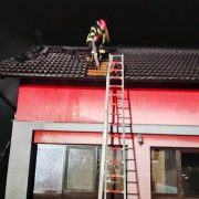 Mii de păsări au ars într-o locuință din Frumușeni