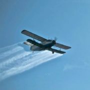 Începe o nouă dezinsecție în municipiul Arad