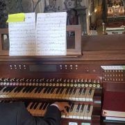 Concert de orgă în micul oraș de pe malul Mureșului, la Basilica Maria Radna