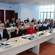 Ajustări pentru amenajarea platformei de verificare tonaj de la Zăbrani-Lipova și a stației de autobuz de la Fântânele