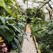 Călătorește prin Raiul Plantelor: Cele Mai Frumoase Grădini Botanice din Lume