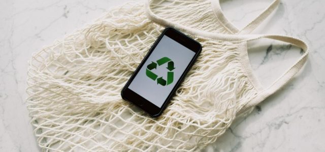 Cum încurajezi reciclarea în compania ta? Top 3 modalități prin care îți poți încuraja angajații să fie mai atenți la natură