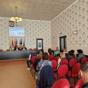 Creșterea incluziunii și abilitării romilor în Orașul Pecica
