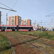 Au fost amenajate primele „pajiști urbane” în municipiu