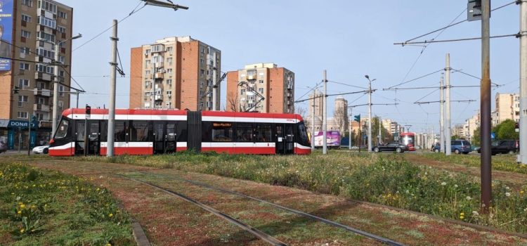 Au fost amenajate primele „pajiști urbane” în municipiu