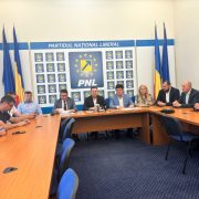 PNL a câștigat 54 de primării și Consiliul Județean!