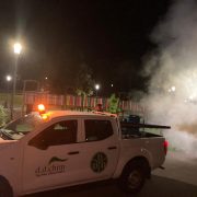 Încă o acțiune de dezinsecție pentru luna iulie în municipiul Arad