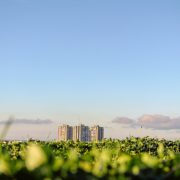 Cinci practici utile pentru integrarea sustenabilității în mediul de afaceri