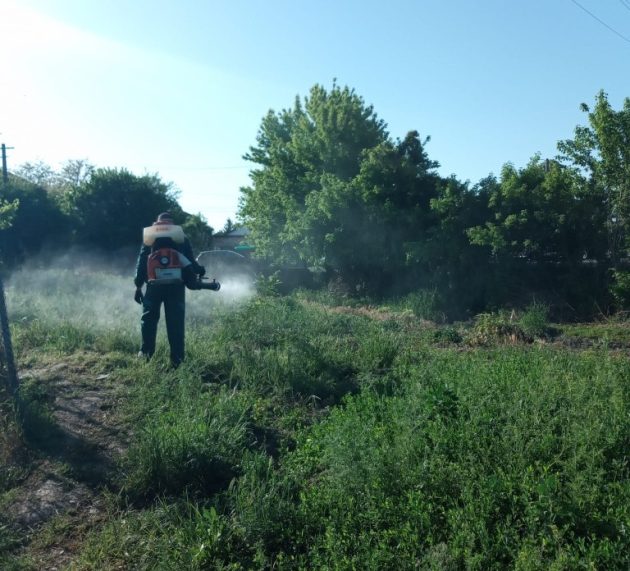 Încă o acțiune de dezinsecție în municipiu