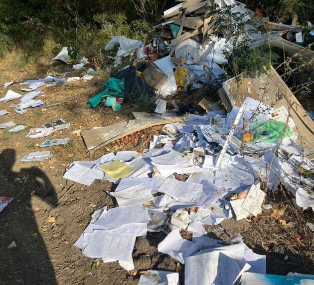 Sute de tone de deșeuri, depozitate ilegal de Primăria Șilindia de-a lungul drumului județean