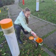 (FOTO) Un strop de culoare pentru comunitatea noastră