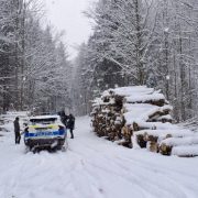 Poliția a demarat controale în pădurile din județul Arad