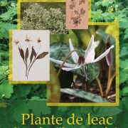 Complexul Muzeal Arad organizează expoziția „Plante de leac din colecțiile muzeului” și atelierele „Farmacia dacică”