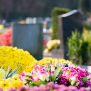 Primăria Arad a stabilit  amplasamentele pentru desfăşurarea comerţului cu flori în zona cimitirelor