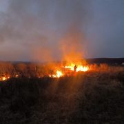 Zeci de incendii de vegetație și culturi agricole în județul Arad. Au fost afectate 95 de hectare