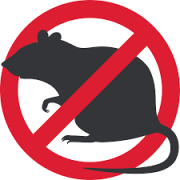 Prima acțiune de deratizare din acest an, în municipiul Arad, începe joi