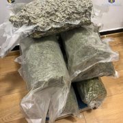 Traficant de droguri, reținut de SCCO Arad. A vândut peste 7,2 kilograme de canabis, într-o singură lună