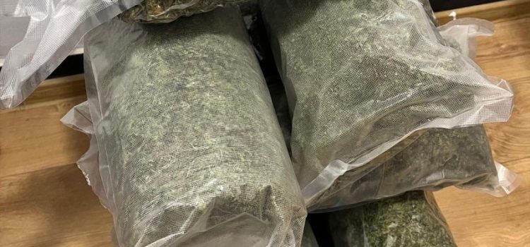 Traficant de droguri, reținut de SCCO Arad. A vândut peste 7,2 kilograme de canabis, într-o singură lună