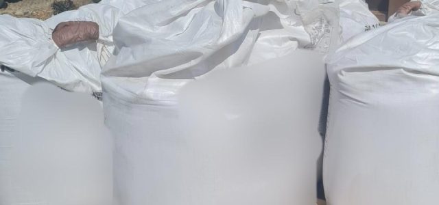 Zeci de tone de substanțe periculoase, descoperite în curtea unei firme din Bârsa