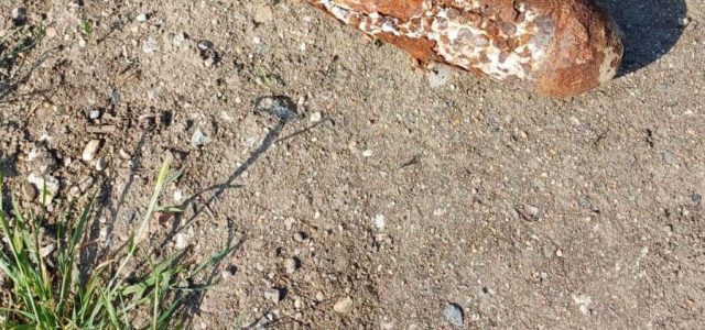 O bombă a fost descoperită în apropierea stadionului UTA