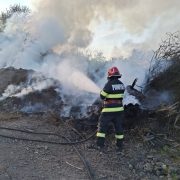Peste 1200 de intervenții ale pompierilor arădeni, în luna aprilie