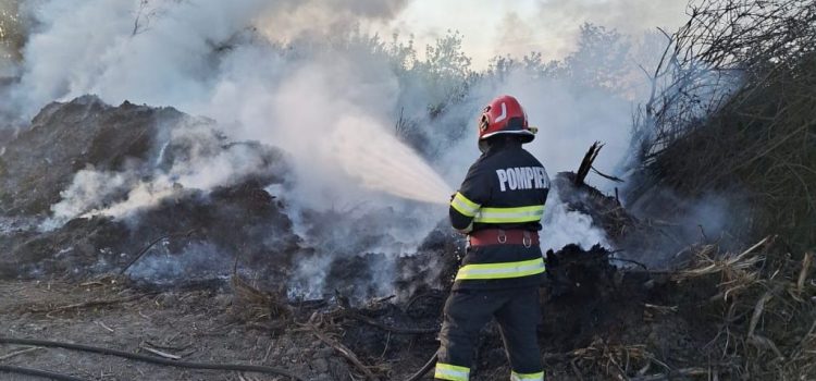 Peste 1200 de intervenții ale pompierilor arădeni, în luna aprilie