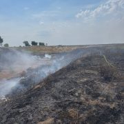 Numărul incendiilor de vegetație aproape s-a triplat față de anul trecut, în județul Arad