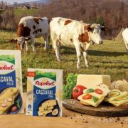 Brandul românesc Napolact va fi cumpărat de cel mai bogat om din Ungaria