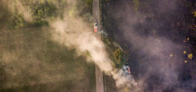 Incendiile de vegetație au afectat 133 de hectare în județul Arad, în doar patru zile