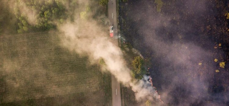 Incendiile de vegetație au afectat 133 de hectare în județul Arad, în doar patru zile