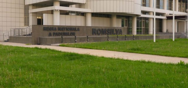 Romsilva atrage atenția asupra riscului de compromitere a jaloanelor PNRR din cauza întârzierii plăților din partea Ministerului Mediului, Apelor și Pădurilor