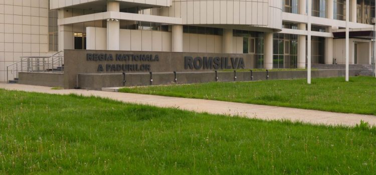 Romsilva atrage atenția asupra riscului de compromitere a jaloanelor PNRR din cauza întârzierii plăților din partea Ministerului Mediului, Apelor și Pădurilor