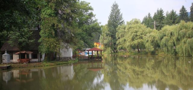 Amenajare piscicolă ilegală, descoperită la Moneasa! Amendă uriașă dată de Grada de Mediu