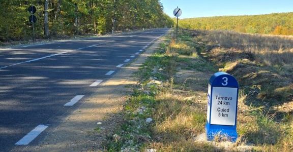 CJA finalizează modernizarea drumului Pâncota–Târnova–Buteni