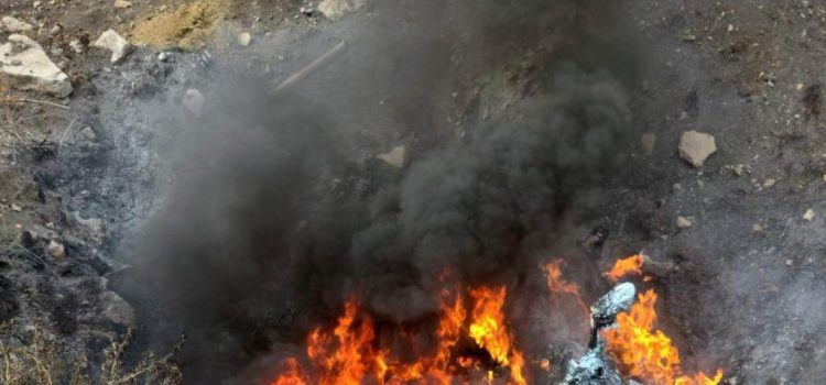 Cadavre de animale, incendiate lângă o fermă din Olari. Garda de Mediu Arad a sesizat organele de cercetare penală