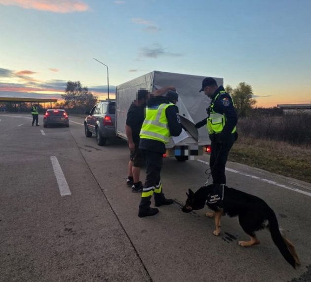 Acțiune de amploare în vămile din Arad și Bihor: peste 2.500 de persoane și vehicule verificate în doar două zile