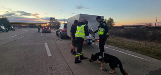 Acțiune de amploare în vămile din Arad și Bihor: peste 2.500 de persoane și vehicule verificate în doar două zile
