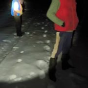 Tentativă de braconaj cinegetic, depistați în flagrant delict la Petriș