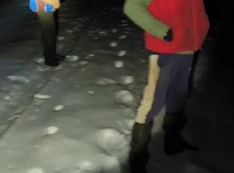 Tentativă de braconaj cinegetic, depistați în flagrant delict la Petriș