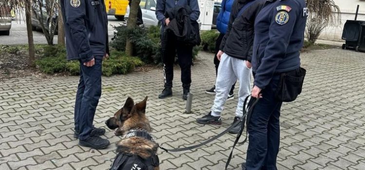 Acțiune pentru combaterea absenteismului