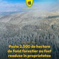 Peste 2.500 de hectare de fond forestier au fost readuse în proprietatea publică a statului, prin demersurile Romsilva și ale Ministerului Finanțelor