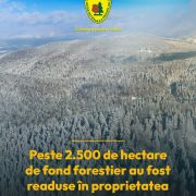 Peste 2.500 de hectare de fond forestier au fost readuse în proprietatea publică a statului, prin demersurile Romsilva și ale Ministerului Finanțelor