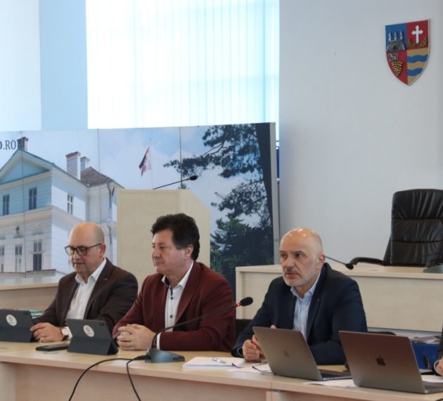 Proiectele europene, dezbătute cu reprezentanții orașelor din județ