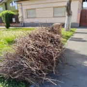 PROGRAMUL CAMPANIEI DE CURĂȚENIE “ARADUL CURAT”  – PRIMĂVARA 2026