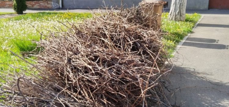 PROGRAMUL CAMPANIEI DE CURĂȚENIE “ARADUL CURAT”  – PRIMĂVARA 2026