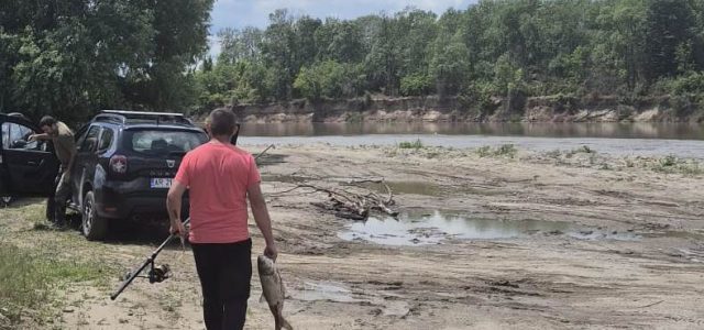 Dosare penale pentru braconaj piscicol în Parcul Natural Lunca Mureșului