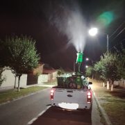 Acțiune de dezinsecție în municipiul Arad